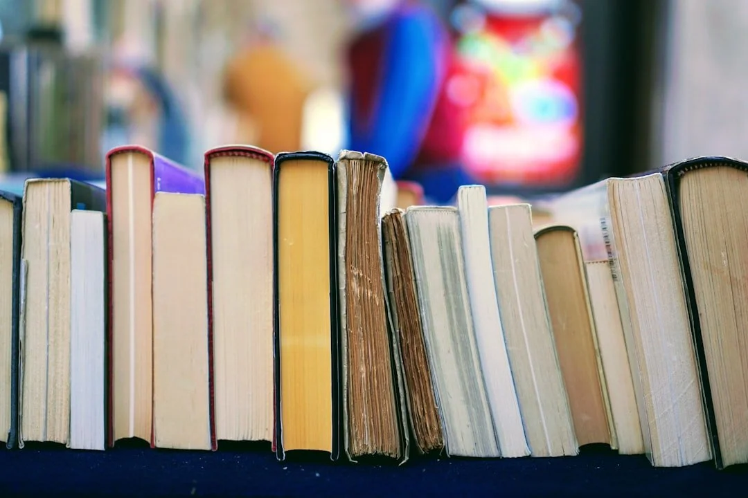 Read more about the article My 10 Favourite Dark Fantasy Books