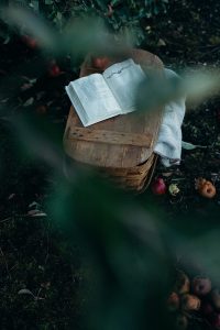 Read more about the article 5 Classic Myths and their Modern Retelling