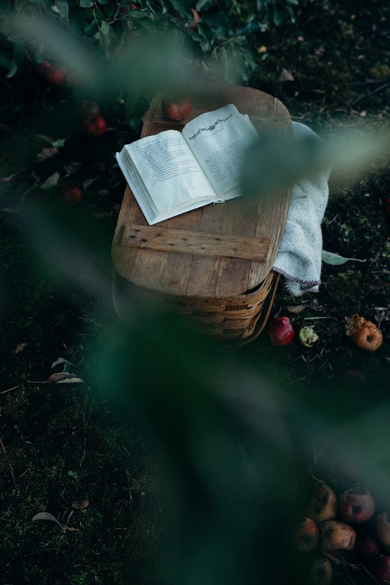 Read more about the article 5 Classic Myths and their Modern Retelling